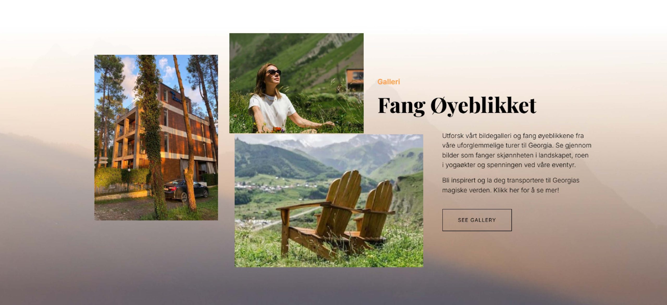 Analyse og rapportering